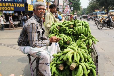 green-bananas-kolkata