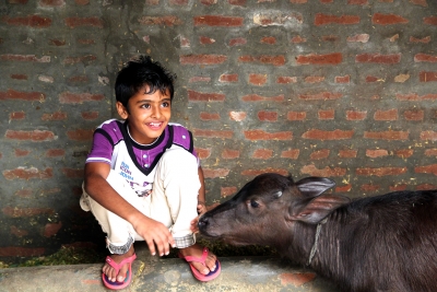 Playing with baby buffalo